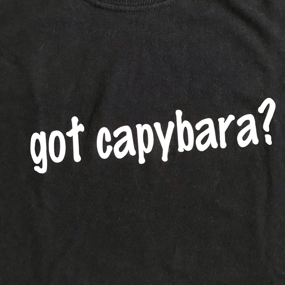 Got Capybara? Black Graphic Tee - Picture 2 of 3